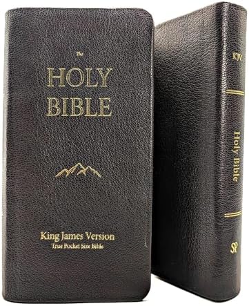 KJV Pocket Reference Edition Black French Morocco with zipper