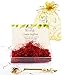 Coupe Spanish Saffron Threads (4 grams) Category 1 Spice Pure Azafran Filaments (Unmatched Aroma and Color for your Paella and Great Gift for Anyone who enjoys Cooking) by Movalyfe with Vintage Spoon