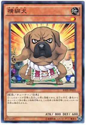 Amazon 遊戯王 日本語版 Rate Jp031 Yokotuner 横綱犬 ノーマル トレカ 通販