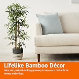 Amazon Basics Artificial Bamboo Plant with Plastic Planter 100 cm view 5