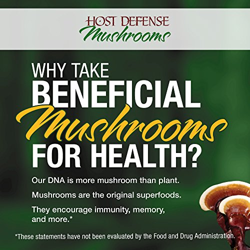 Host Defense Lion's Mane Extract - Image 10