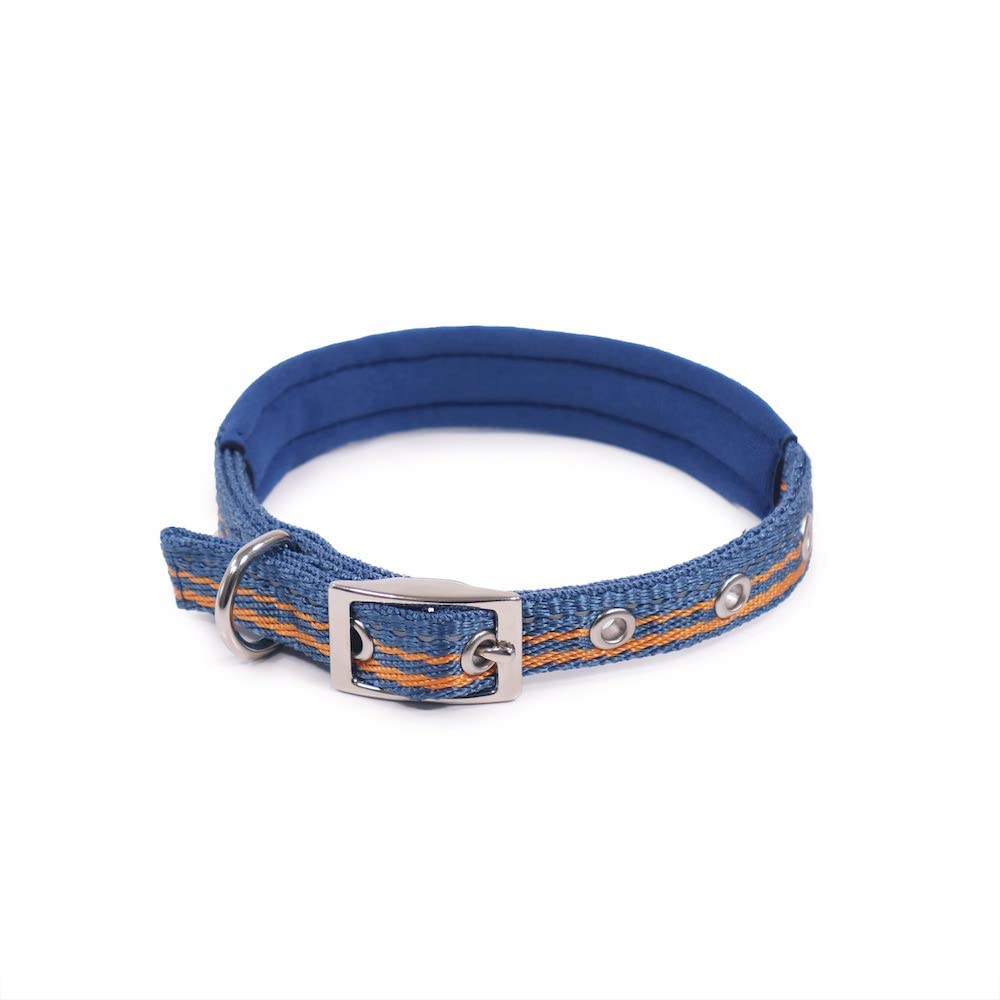 Rosewood Reflective Adjustable Dog Collar, Small, Blue, 10 to 14"