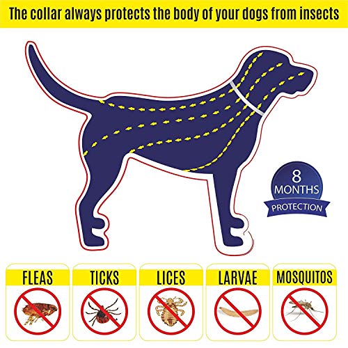 Dog Flea and Tick Control Collar - 8 Months Flea and Tick Control for Dogs - Natural, Herbal, Non-Toxic Dog Flea Treatment - Waterproof Protection and Adjustable Best Flea Collar for Dogs