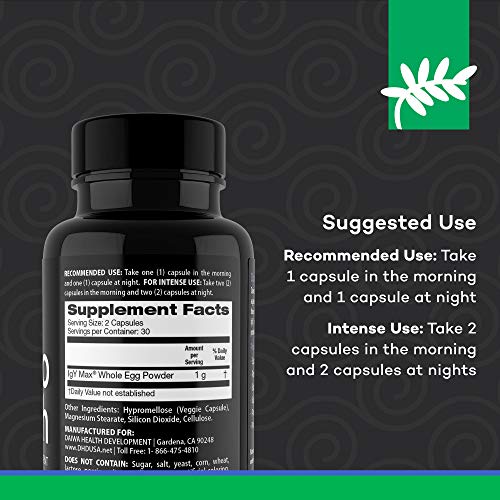 Daiwa Gastro Health Natural Digestion Aid Supplements for Digestive