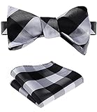 SetSense Men's Plaid Jacquard Woven Self Bow Tie Set