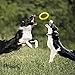 LaRoo Dog Frisbee Toy Flying Ring Pets Flying Disc Dog Chew Toys Non-Toxic Fitness Ring for Dogs