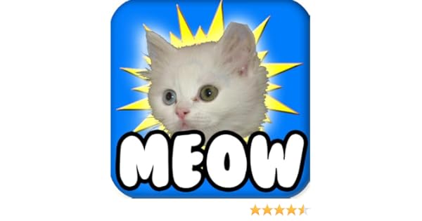 Cat Meow Meow 1 You Are My Sunshine Feat Fun Kitty Cat Song Funny Songs -