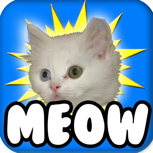 ! Cat Meow Meow, #1 You Are My Sunshine (feat. Fun Kitty Cat Song & Funny Songs)