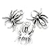 Housweety 50PCs Charm Pendants Spider Animal Silver Tone 18mmx14mm(6/8