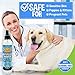 Bodhi Dog Waterless Shampoo - Natural Dry Shampoo for Dogs & Cats - Neutralizes Pet Odor - No Rinse Required - Made of Natural Extracts - Safe for Sensitive Skin - Oatmeal & Apple (8 Fl Oz)