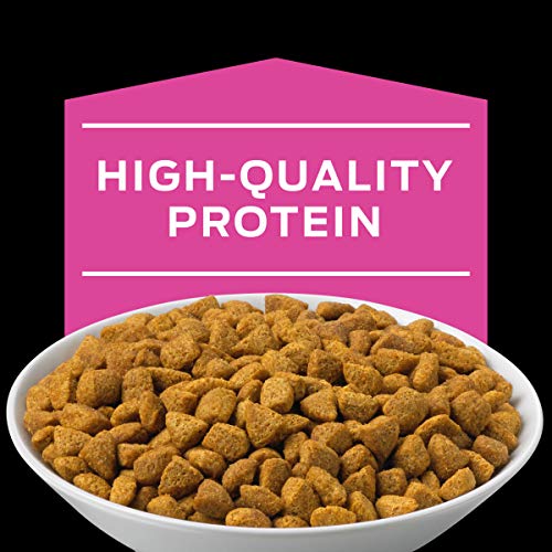 Purina UR Urinary Tract Cat Food 16 lb Awesome Pet Supply Deals