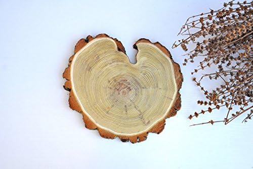 11.81'' acacia wood slice for wedding centerpiece Wood slab cake stand Rustic wedding centerpiece Rustic cake stand Wood slices Wooden platter Wooden coaster Rustic decoration Wooden serving board