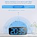 HAPTIME Digital Alarm Clock with FM Radio Dual-Alarm Snooze Large LED Display 12hr 24hr Format and Brightness Adjustable for Bedroom, Powered by USB Port and Backup Battery for Clock-Setting