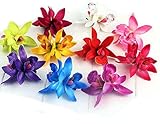 Floral Fall Hula Girl Hawaiian Orchid Flower Hair Clip for Beach HC-11