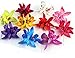 Floral Fall Hula Girl Hawaiian Orchid Flower Hair Clip for Beach HC-11