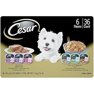 CESAR Canine Cuisine and Home Delights Club Variety Pack Dog Food (Pack of 36)