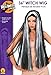 Rubie's 36-Inch Streaked Witch Wig, Black/Grey, One Size