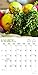 2017 Monthly Wall Calendar - Herbs