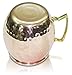 18 oz Copper Mugs Set Moscow Mule – 100% Copper Hammered Finish PREMIUM Best Quality Shinny – Hand crafted in India – Set of 2 With FREE GIFT: 2 Straws + Stir spoon + Shot mug