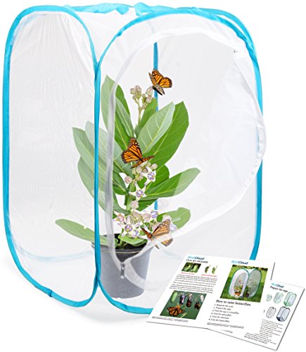 RESTCLOUD Insect and Butterfly Habitat Cage Terrarium Pop-up 24 Inches Tall