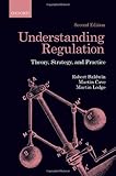 Understanding Regulation : Theory, Strategy, and Practice, Baldwin, Robert and Cave, Martin, 0199576084