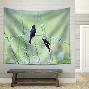 Greater Racket-Tailed Drongo - Fabric Wall Tapestry Home Decor - 51x60 inches