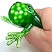 Squeezy Frog Squidgy Sensory Toy - Fiddle Fidget Stress Sensory Autism ADHD