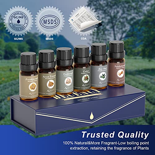 ASAKUKI Essential Oils Gift Set Premium Fragrance Oils for Gentlemen, Candle & Soap DIY Making - Sandalwood, Cedarwood, Frankincense, Teakwood, Sweet Tobacco, Bay Rum, 10ML Wood Scents