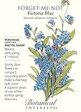 Victoria Blue Forget-Me-Not Seeds - .25 grams