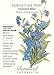 Victoria Blue Forget-Me-Not Seeds - .25 grams