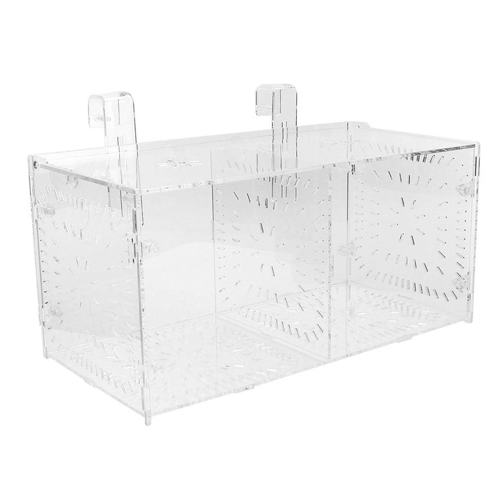 Acrylic Fish Breeding Box with Isolation Board for Guppies, Shrimp, Clownfish and Fry (30x15x15cm)