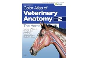 Color Atlas of Veterinary Anatomy, Volume 2, The Horse