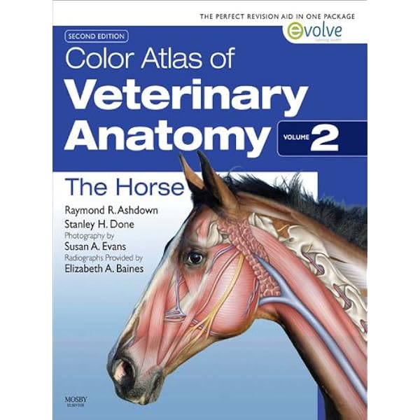 Amazon.com: Veterinary Anatomy of Domestic Animals: Textbook and