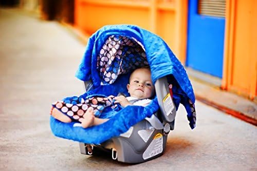 Carseat Canopy - The Whole Caboodle 5pc Set - Baby Infant Car Seat Cover with Complete Matching Set of Accessories (Standard, Aiden)