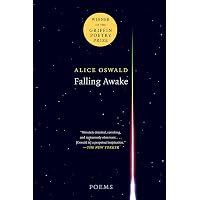 Amazon.com: Memorial: 9780571274185: Alice Oswald: Books