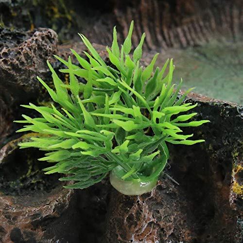 Chnee Plastic Reptile Tank Decor Resin Reptile Platform Artificial Tree Trunk Design Reptile Water Dish Water Bowl for Lizard, Gecko, Water Frog, Other Reptile