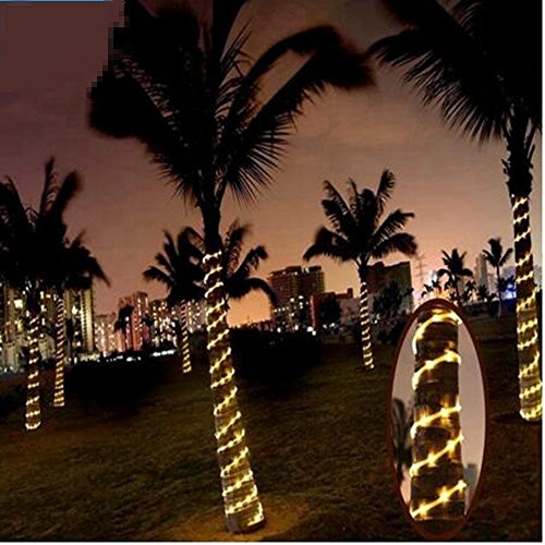 image for PYSICAL® PYSICAL 110V 2-Wire Waterproof LED Rope Light Kit for Backgr