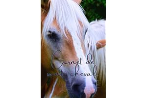 carnet de santé cheval: Carnet de suivi santé de mon cheval à remplir ou compléter. Ce carnet de santé est un cadeau idéal af