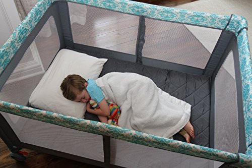 romp and roost playard