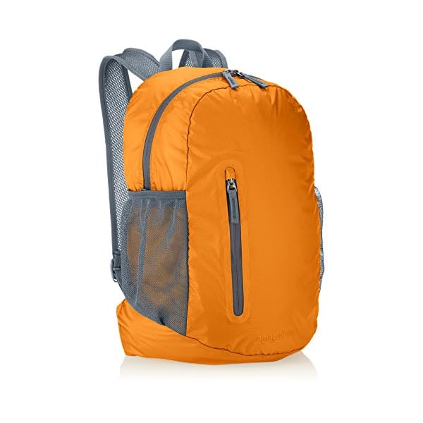 amazonbasics ultralight packable day pack