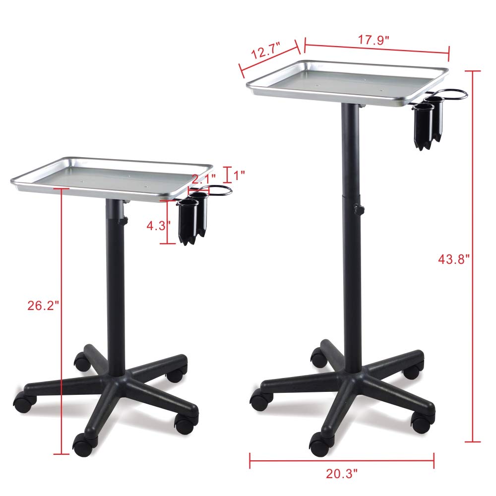 Premium Aluminum Instrument Salon Tray W/Accessory Caddy Tattoo Rolling Tray Station: Beauty