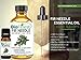 BioFinest Fir Needle Oil - 100% Pure Fir Needle Essential Oil - Calm Mind, Reduce Fatigue, Ache, Arthritis - Premium Quality - Therapeutic Grade - Best For Aromatherapy - FREE E-Book (10ml)