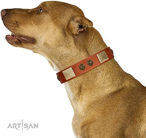 19 inch FDT Artisan "Bronze Century" Tan Leather Dog Collar with Plates and Brooches with Cool Ornament - 1 1/2 inch (40 mm) wide - Gift Box Included
