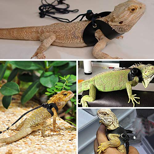 image for Lyeiaa 3 Packs Bearded Dragon Harness and Leash Adjustable(S,M,L) - So