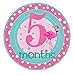 Mumsy Goose Baby Girl Stickers Tropical Monthly Bodysuit Stickers 1-12 Month Milestones Pink Flamingo