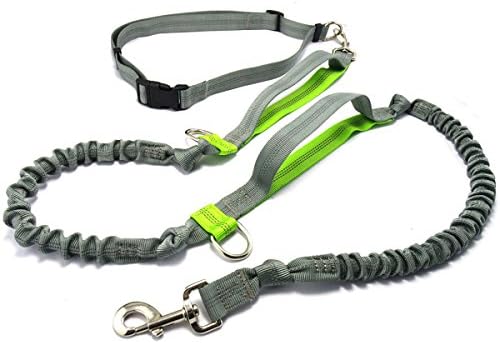 Hands Free Dog Running Leash - BUTEFO Reflective Bungee Dog Leash for Walking Jogging Hiking and Biking - Adjustable Belt from 26-46", Adjustable length from 59-79'', Dog Car Seat Belt (Green-Grey)