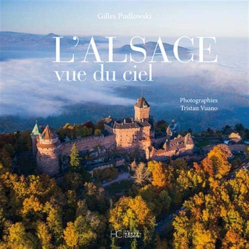 Download L'Alsace vue du ciel PDF