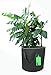 3-Pack Felt Grow Bags Bed Aeration Containers with Handles by Misslo (8 Gallons)