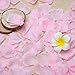 eBoot 1000 Pieces Silk Rose Petals Wedding Party Flower Favors (Pink)