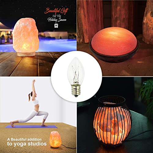 Himalayan Glow Salt Lamp Light Bulbs Night Light Bulbs 15 Watt